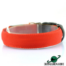 Coleira LED Para Pets