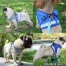 Peitoral Com Guia Para Cães E Gatos