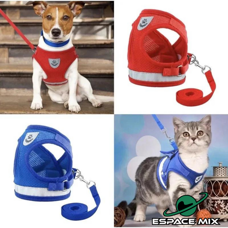 Peitoral Com Guia Para Cães E Gatos